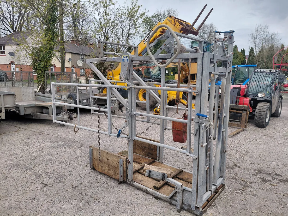 IAE Hoof crush - Image 4