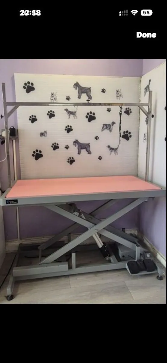 Dog grooming table - Image 1