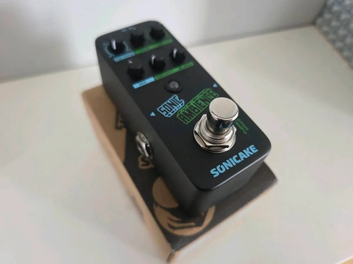 Delay / Reverb Guitar Pedal - Image 1