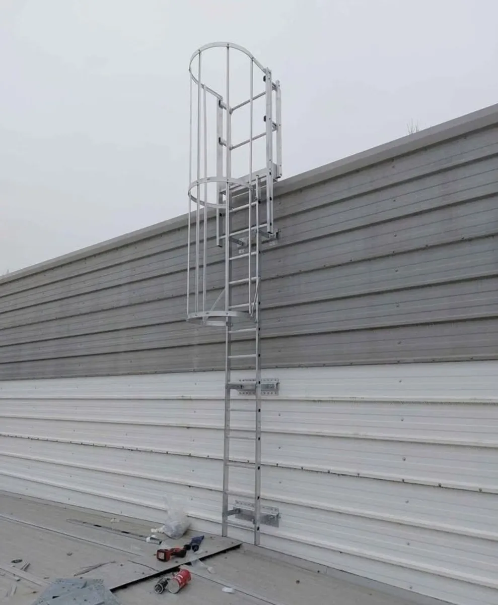 Fixed Access Ladder - Image 3