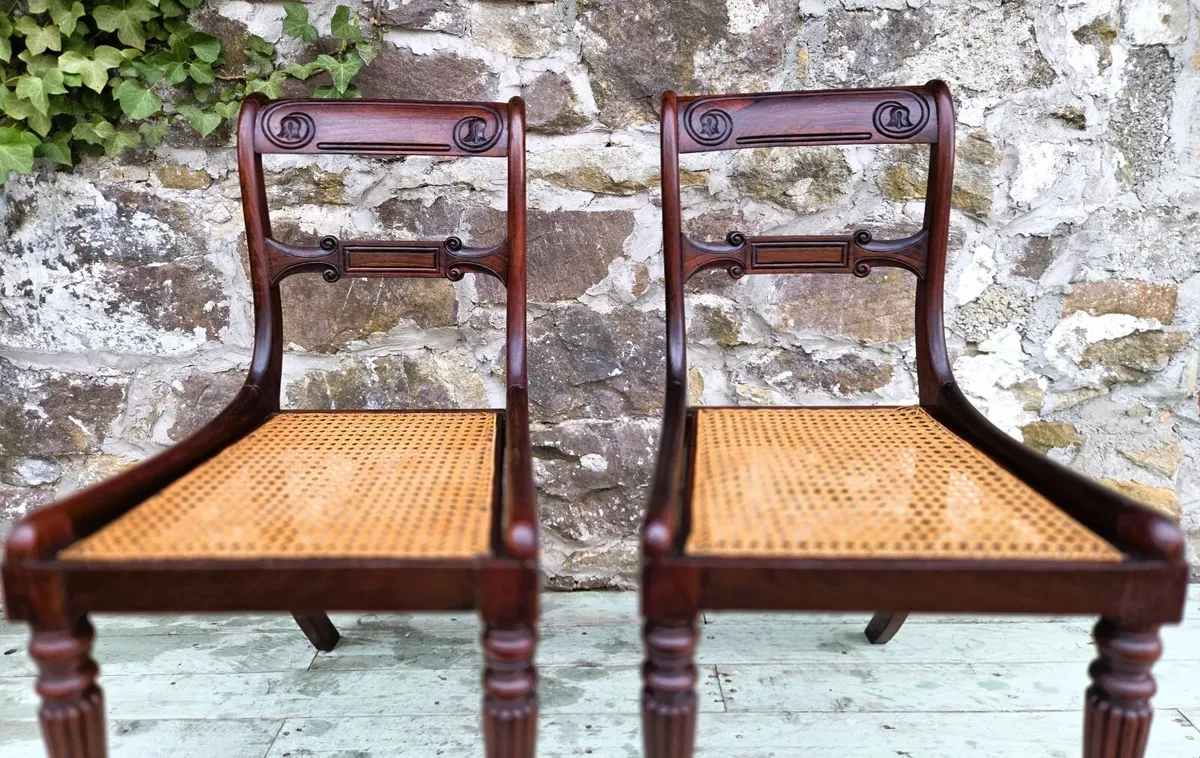 Georgian Mahogany & Cane Chairs- Circa 1820 - Image 2