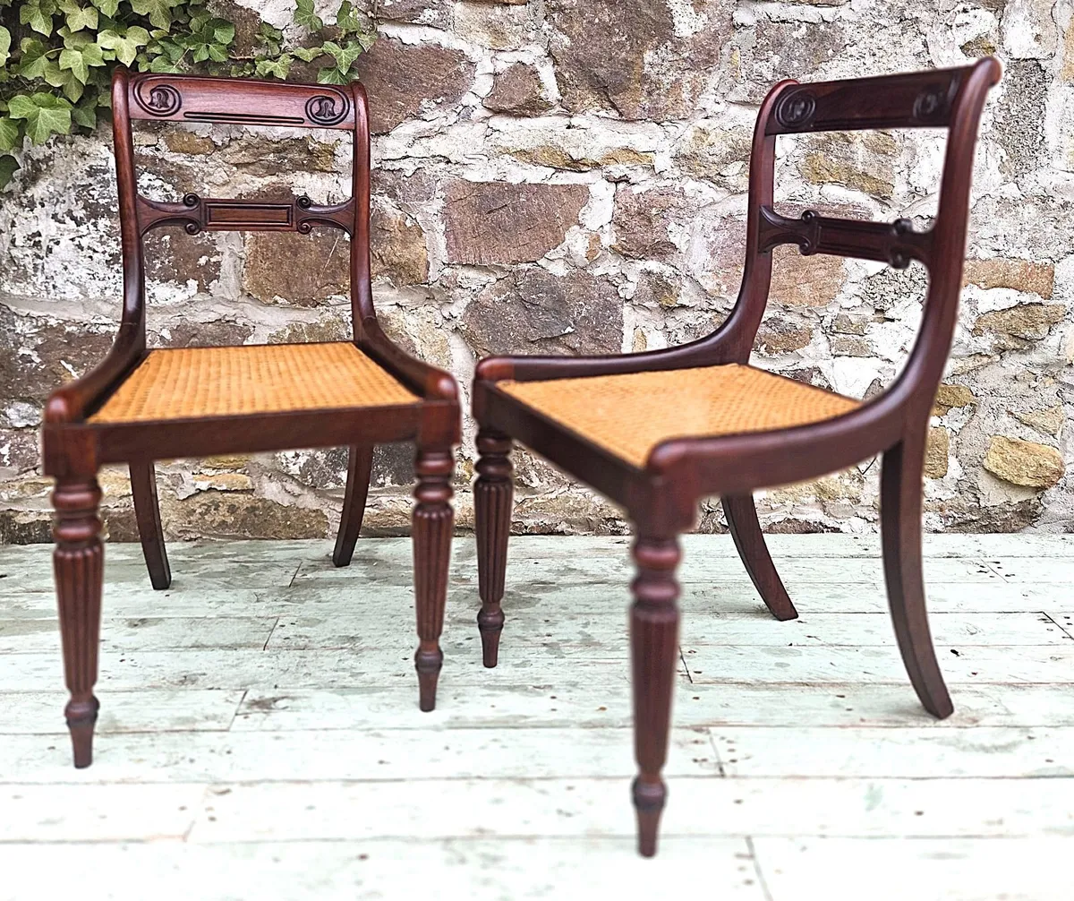 Georgian Mahogany & Cane Chairs- Circa 1820 - Image 3