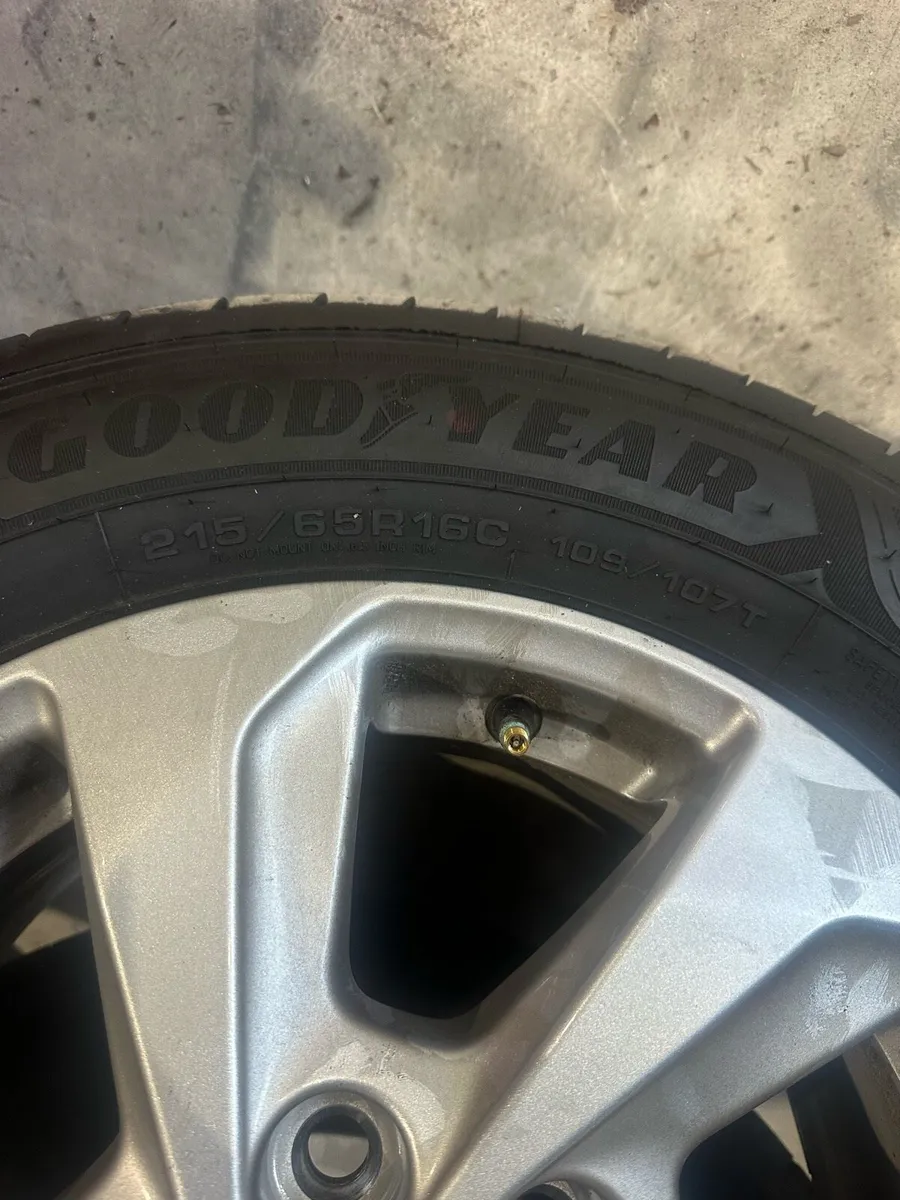 Transit Alloys - Image 2