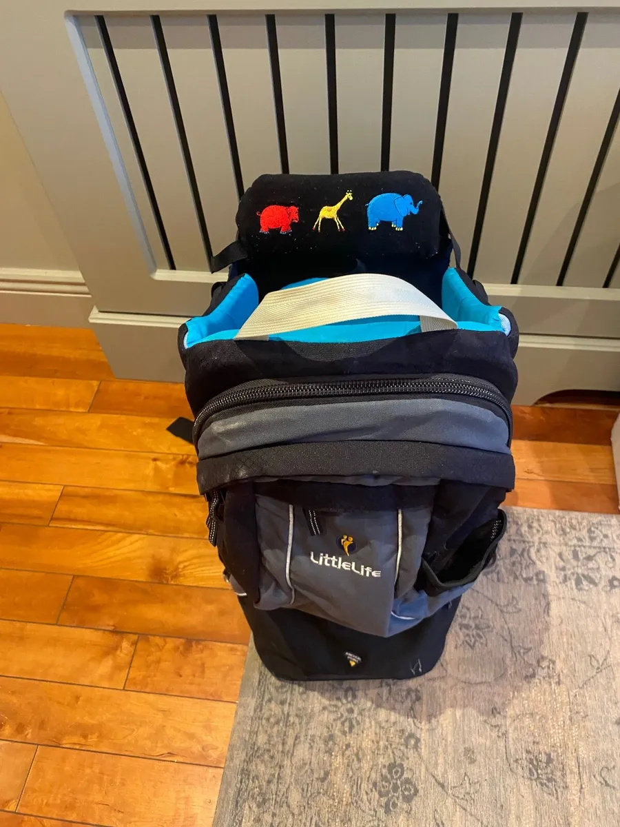 LittleLife Adventurer Child Carrier - Image 1