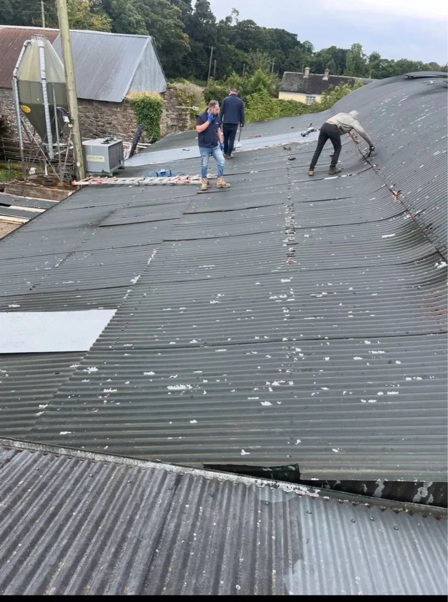 Farm painting and general repairs - Image 3