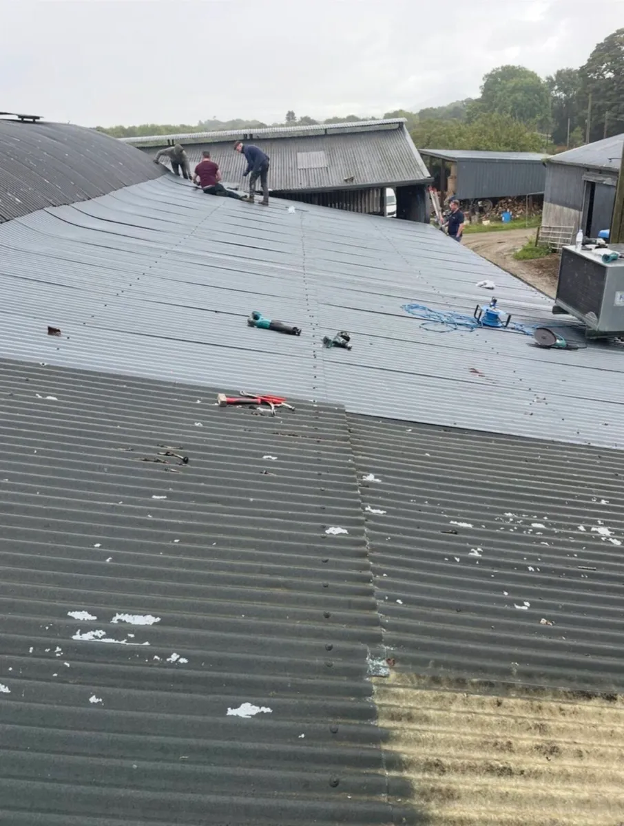 Farm painting and general repairs - Image 4