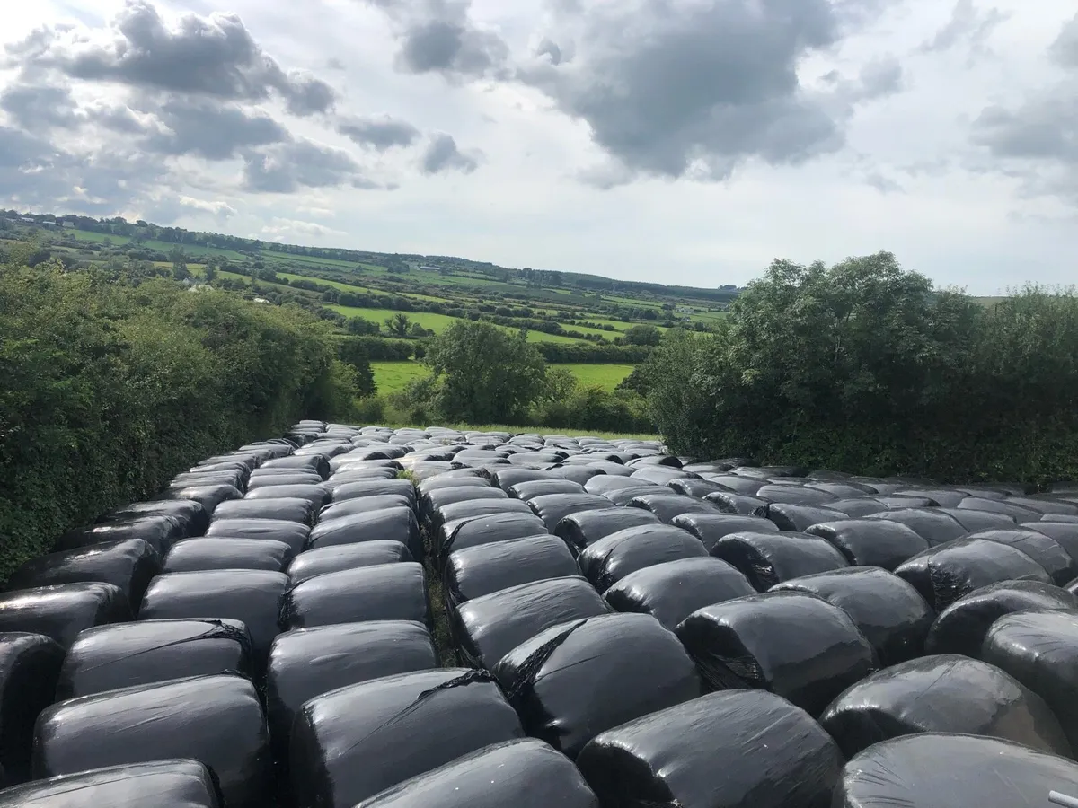 Silage