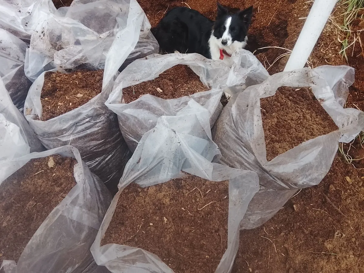 Top Quality Organic Compost Bags - Image 2