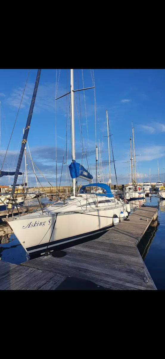 benetau first 325 - Image 1