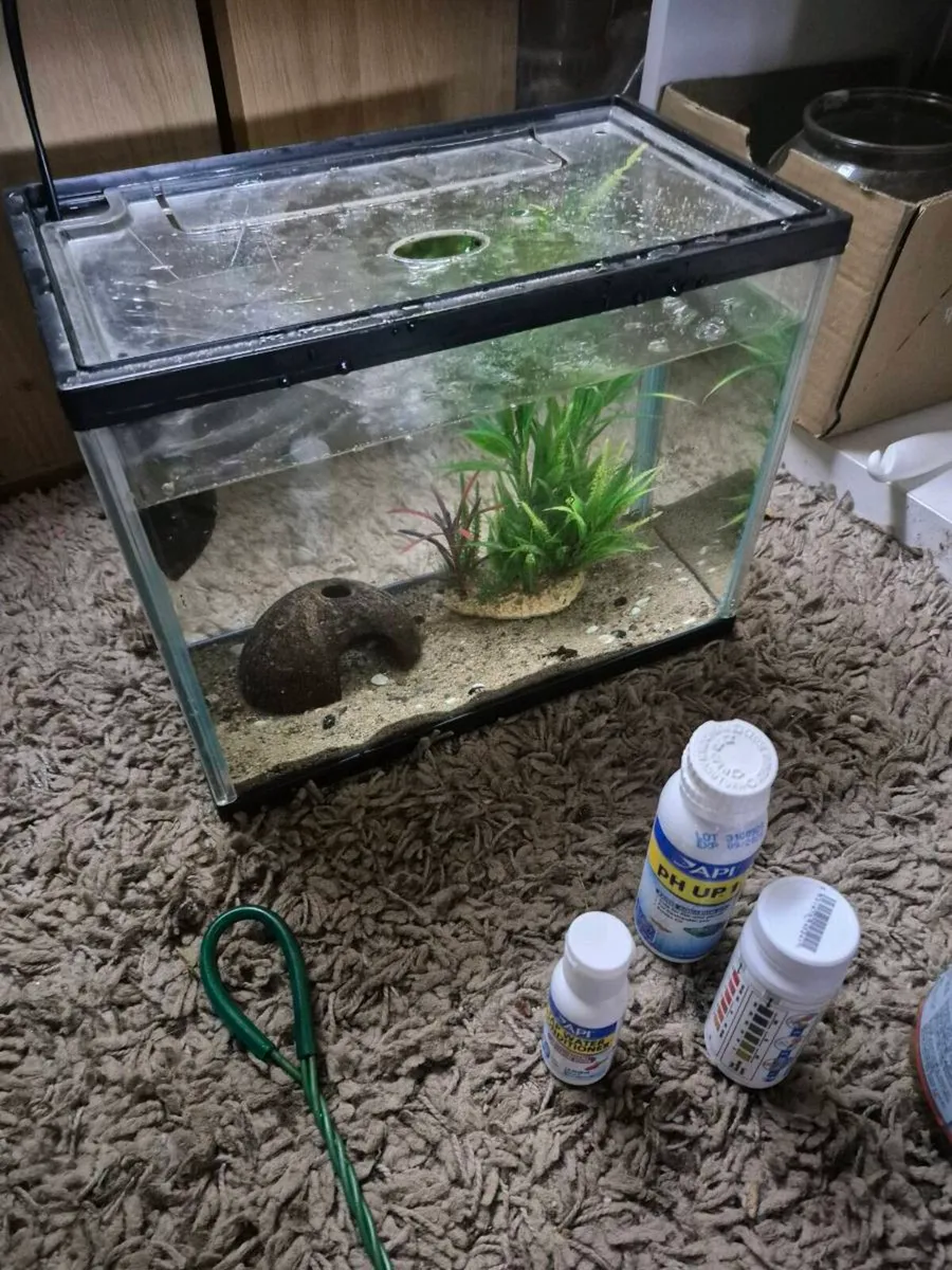 Fish tank with fish and accessories - Image 3