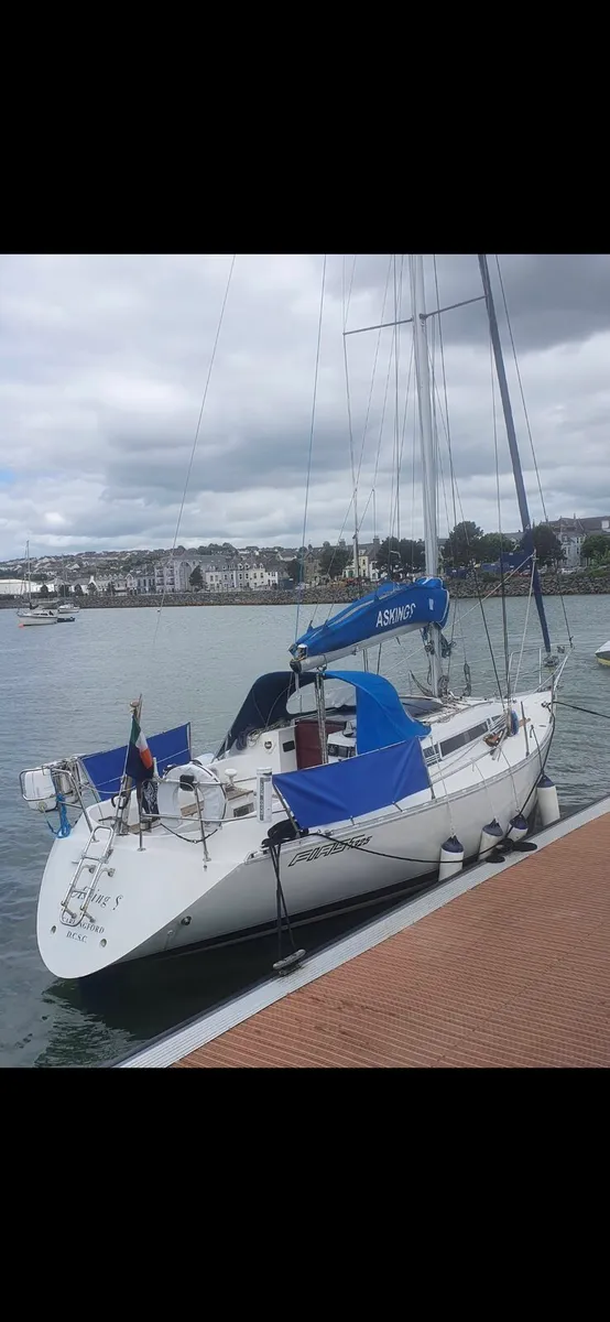 benetau first 325 - Image 2