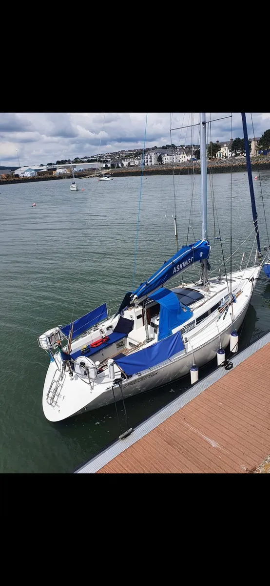 benetau first 325 - Image 4