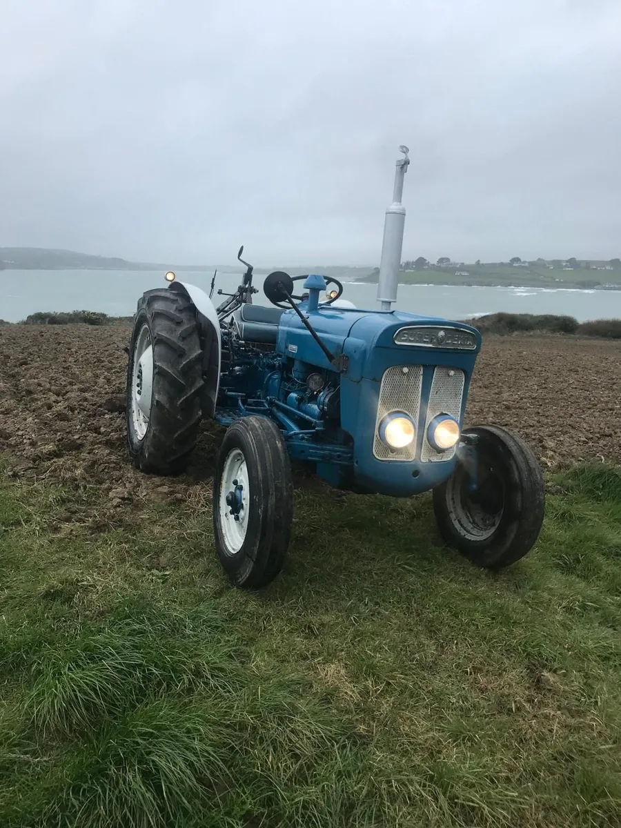 Ford Dexta & 3 Furrow Ransom Plough - Image 3