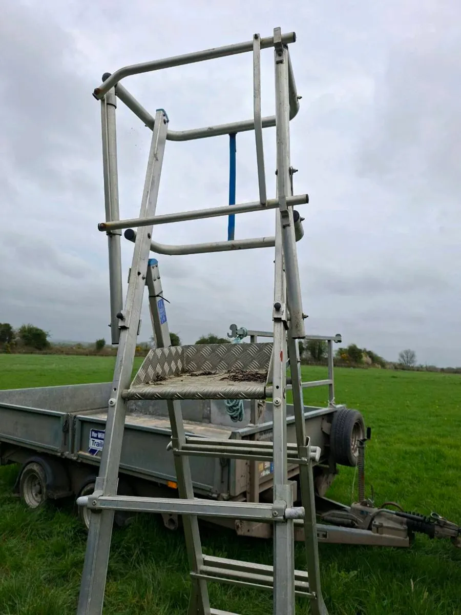 Podium Ladder - Image 2