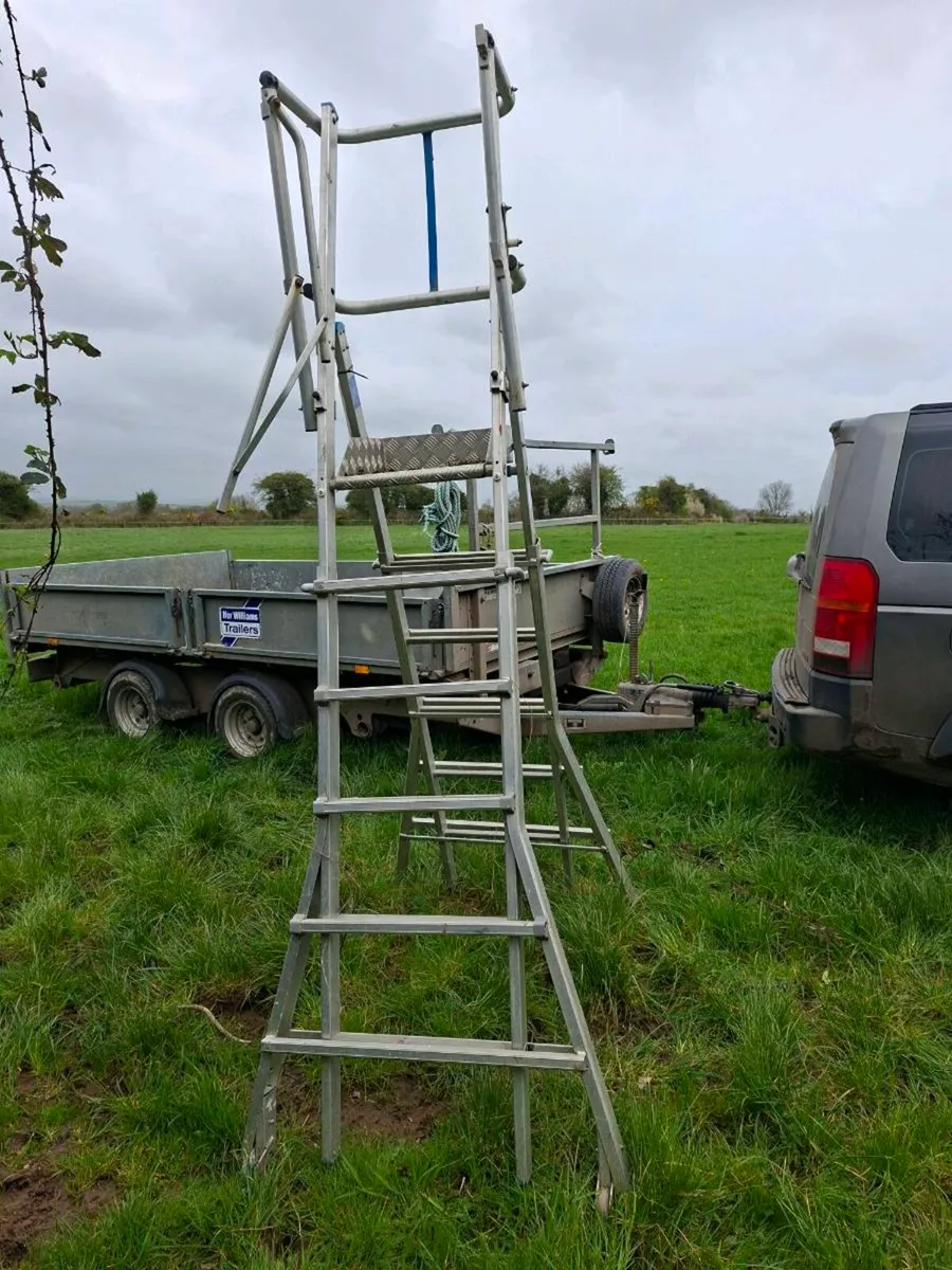 Podium Ladder - Image 3