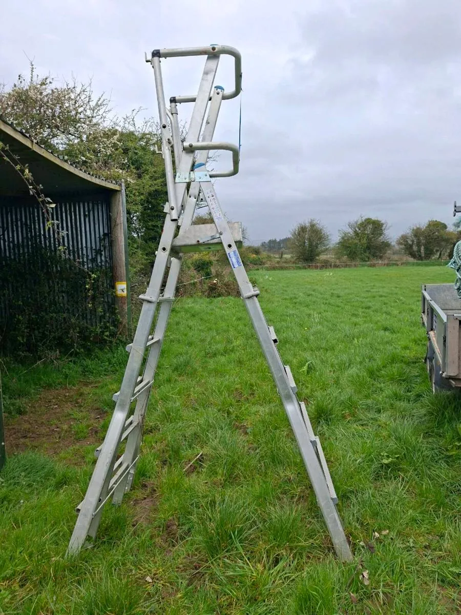 Podium Ladder - Image 1