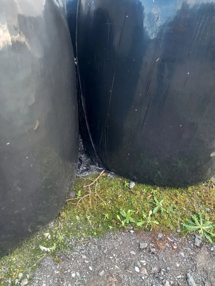 Round bales of silage and hay for sale,Good Qualit