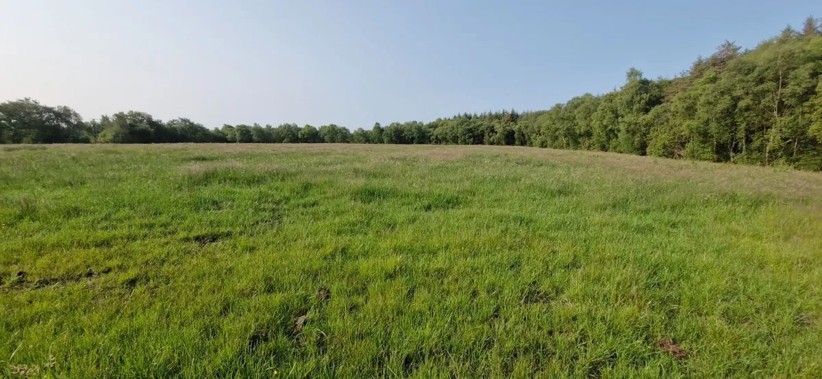 Round bale silage - Image 3