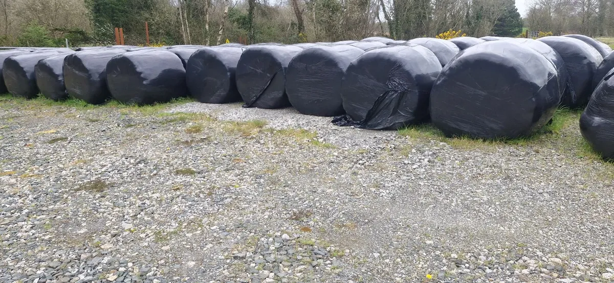 Round bale silage - Image 1