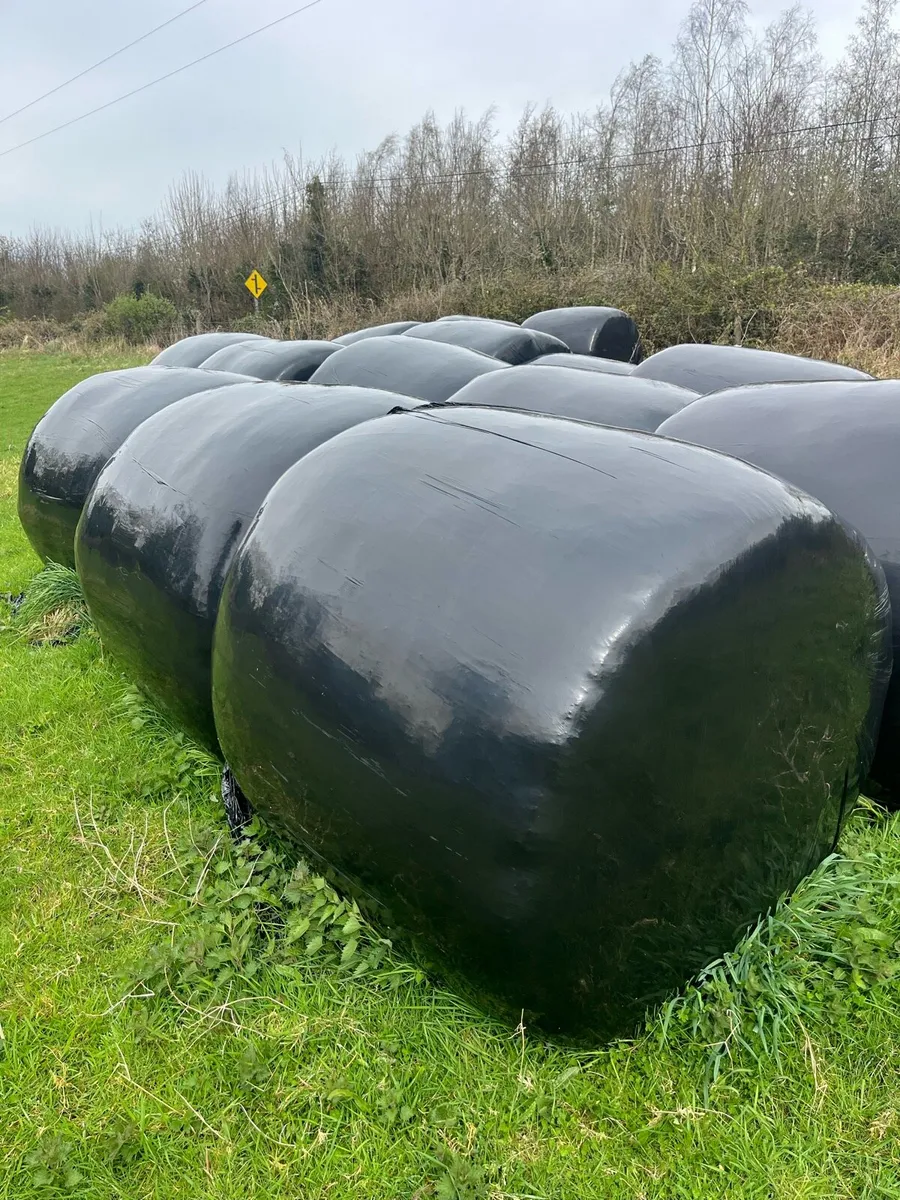 Silage bales