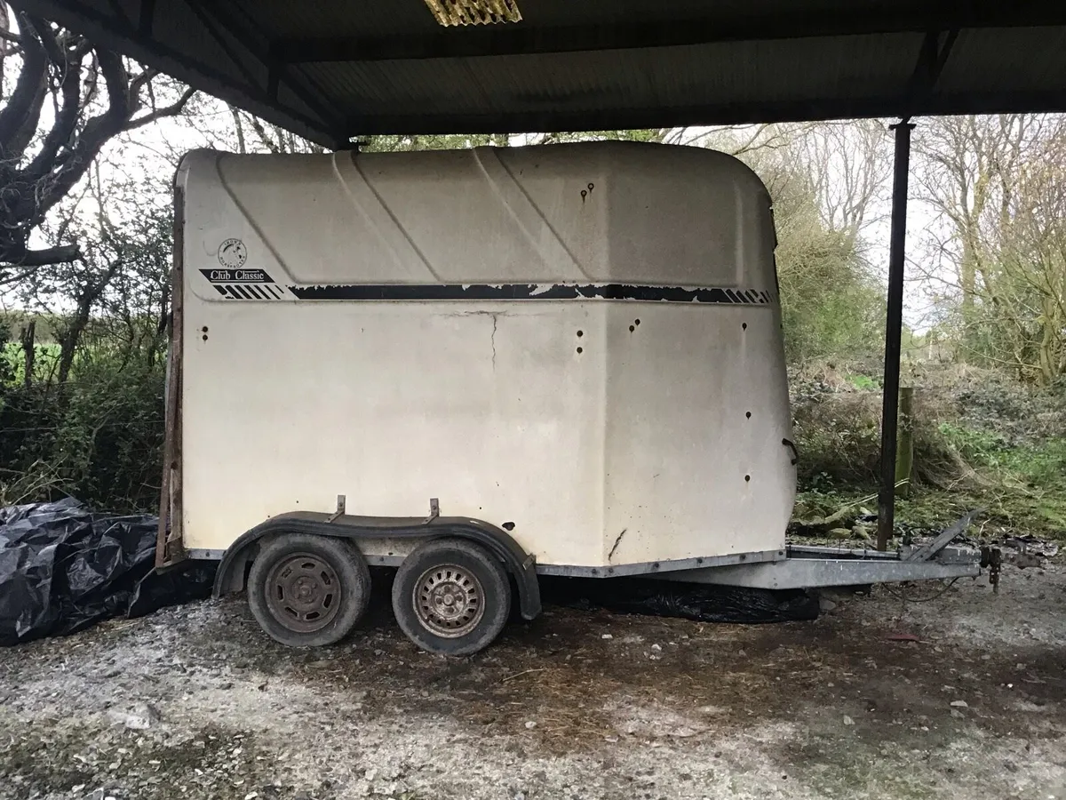 Two Brood Mares in foal for Sale & Horse Box - Image 3