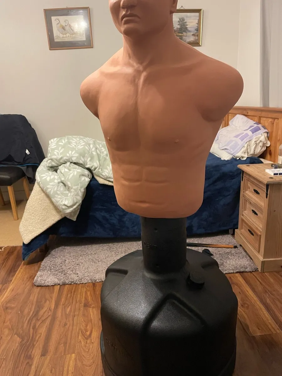 Century bob punching bag - Image 2