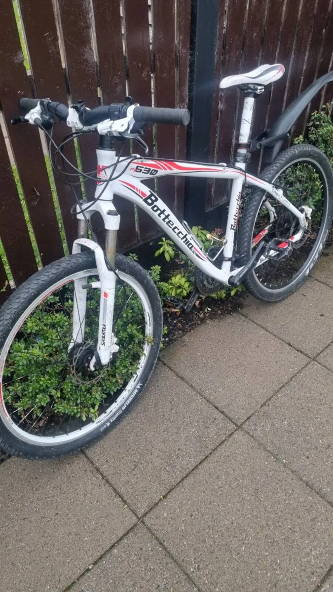 Mountain bike - Image 1