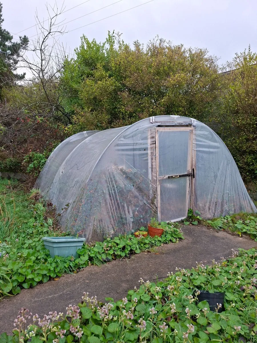 Polytunnel and New polythene - Image 1