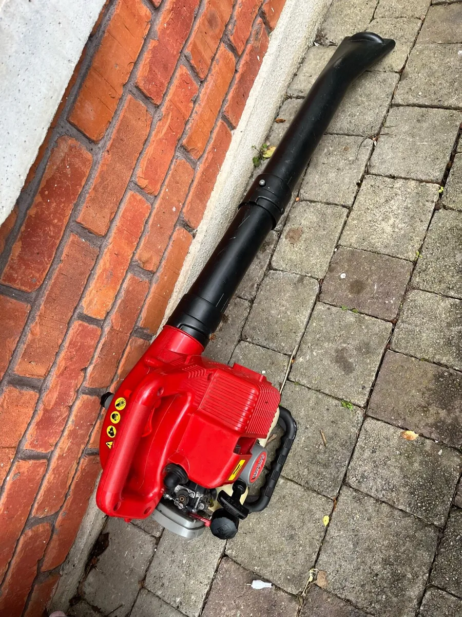 Leaf blower Mountfield - Image 2
