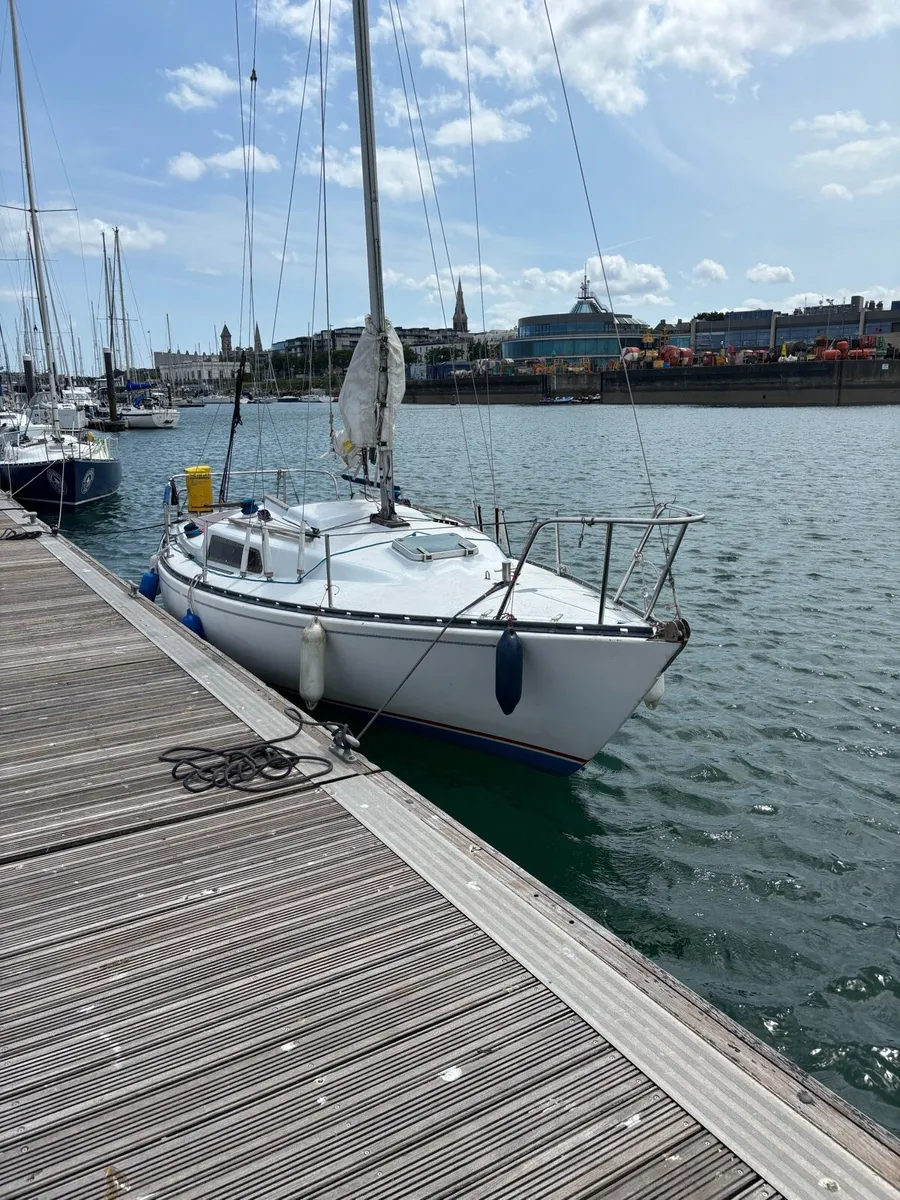 Ruffian 23’ - Image 3