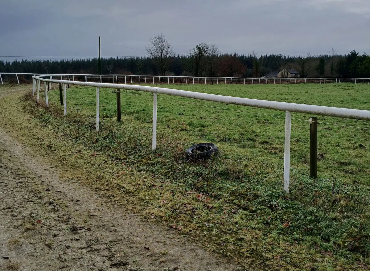 Equine Gallop White Rail - Image 3
