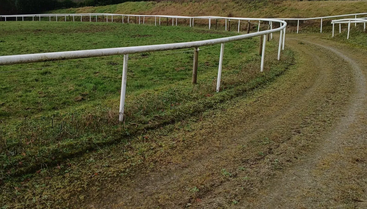 Equine Gallop White Rail - Image 1