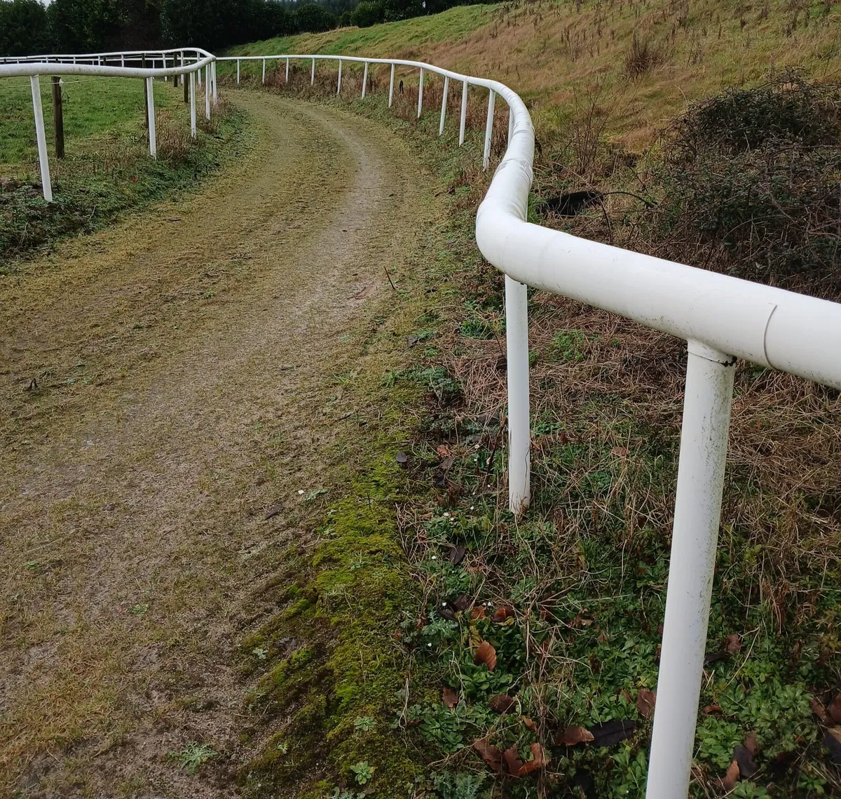 Equine Gallop White Rail - Image 2