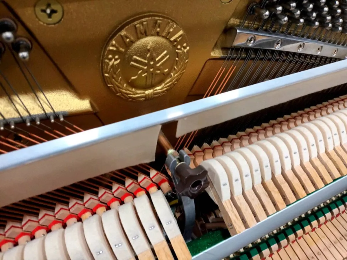 Tuning/Regulation/Voicing/Service Package