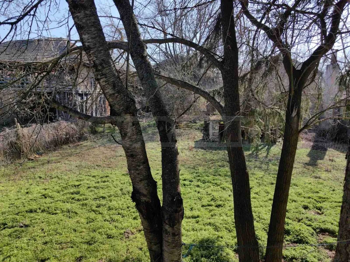 bulgarian property  Novo Selo Danube river - Image 3