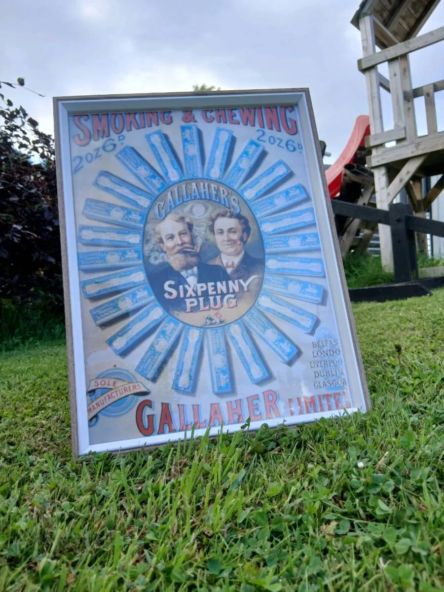 Gallaghers Sixpenny Plug Advert - Image 1