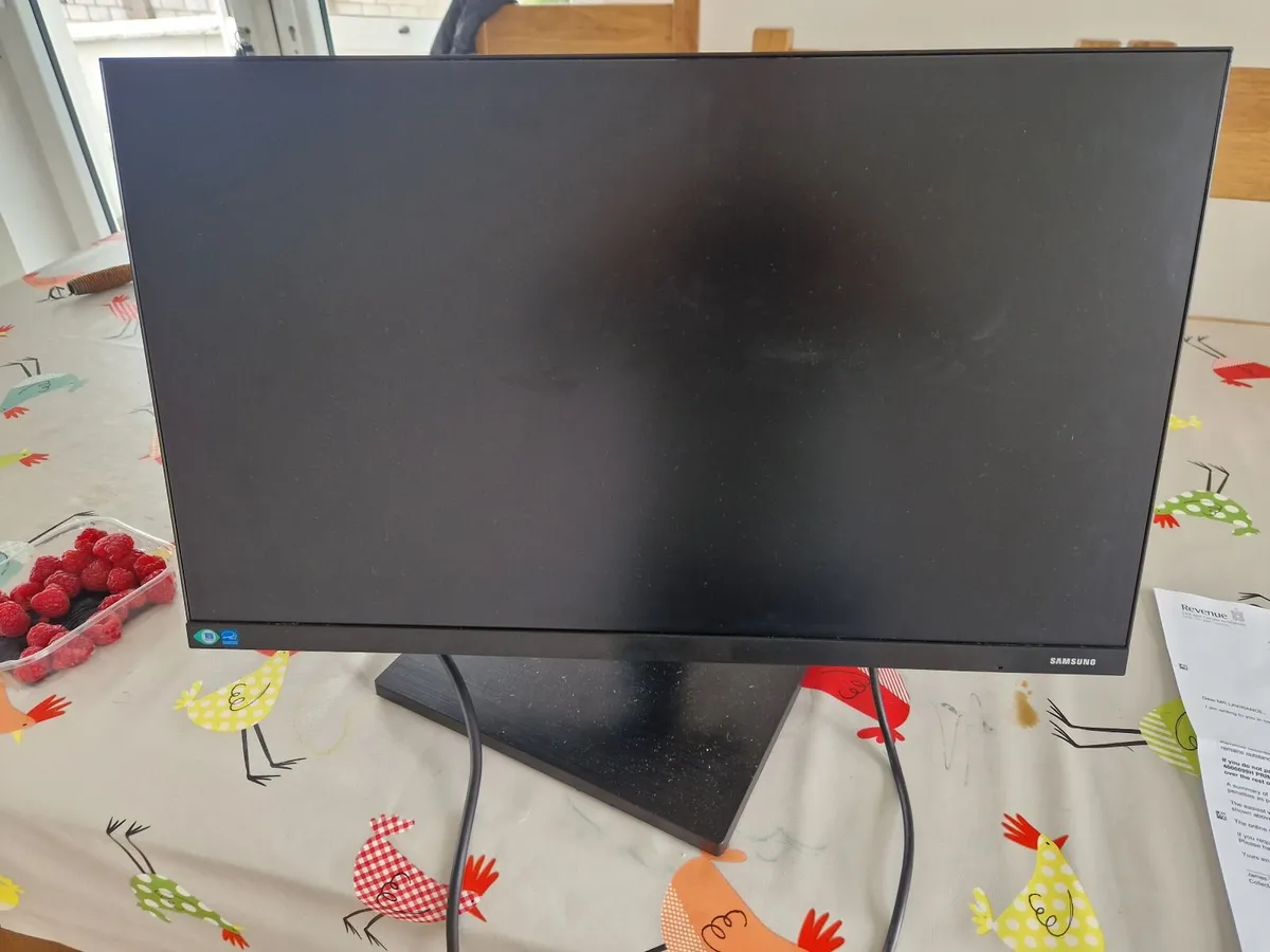 Samsung 24" Monitor
