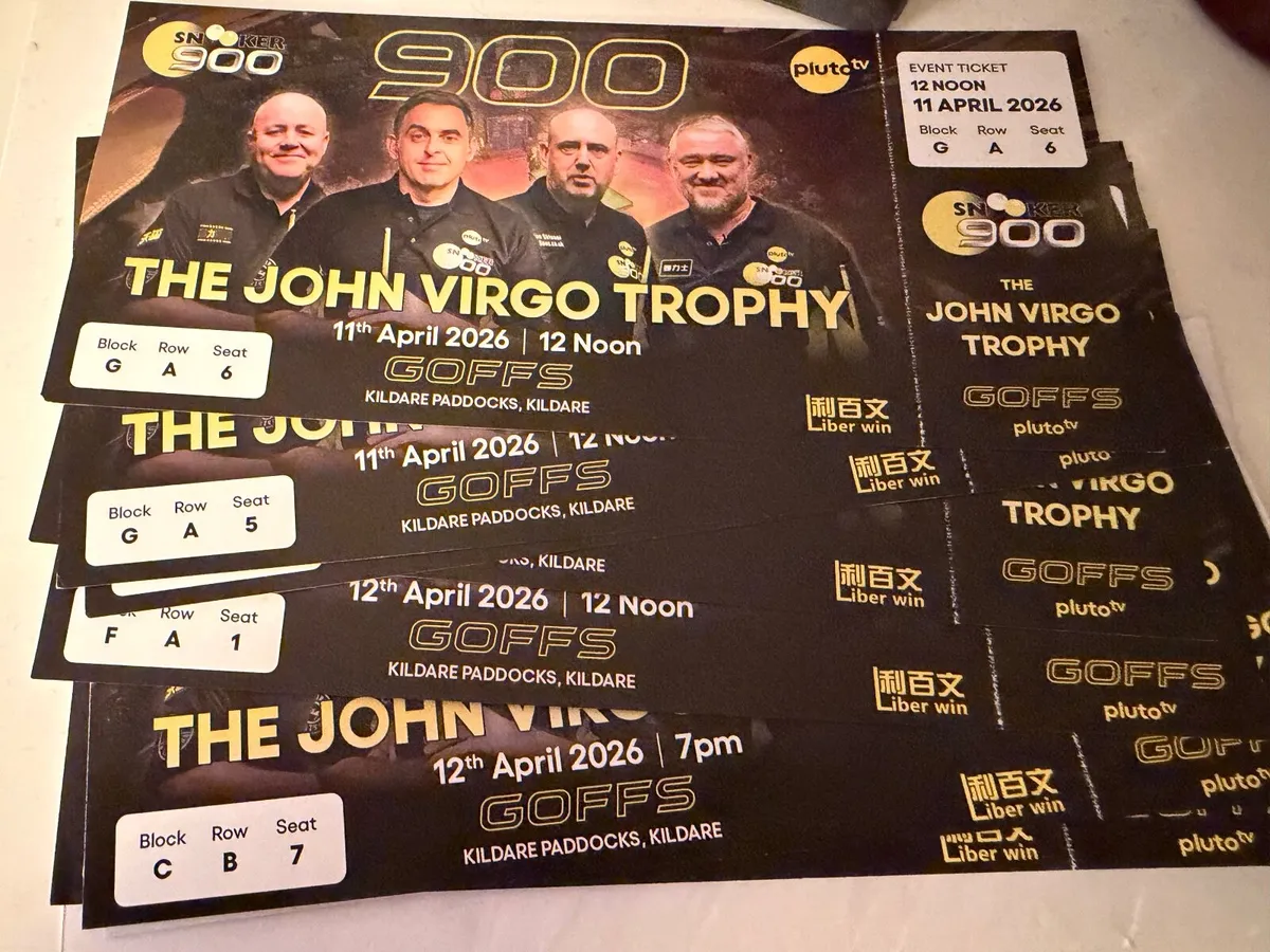 Snooker at Goffs - Image 2