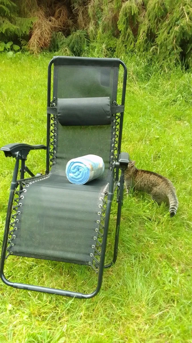 Reclining chair - Image 2