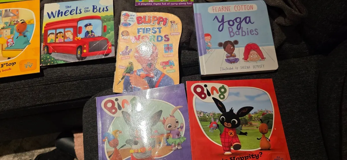 Books for toddler x 24 - Image 2