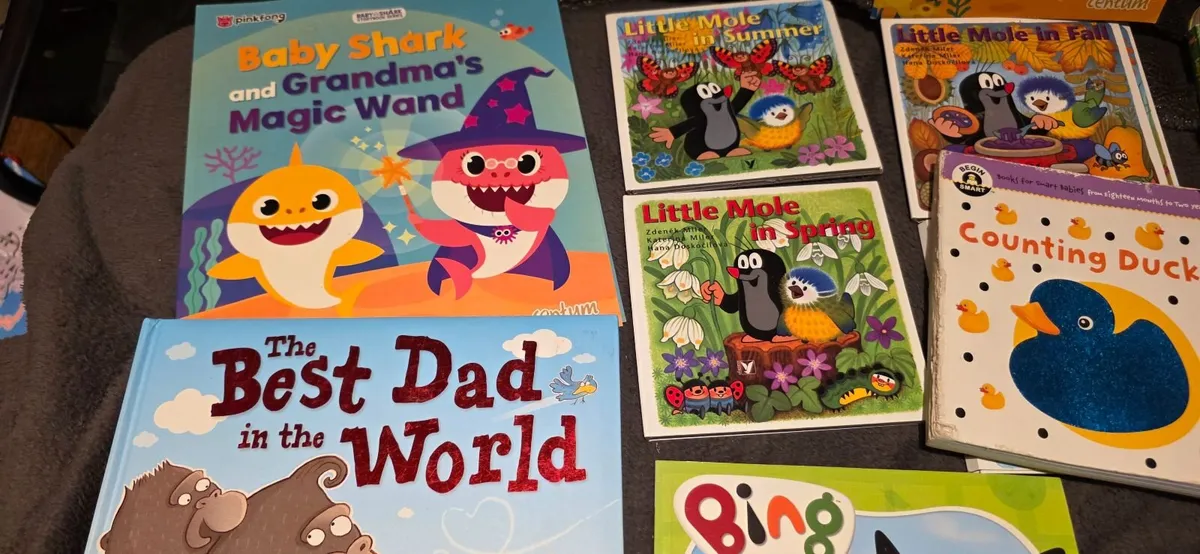 Books for toddler x 24 - Image 3