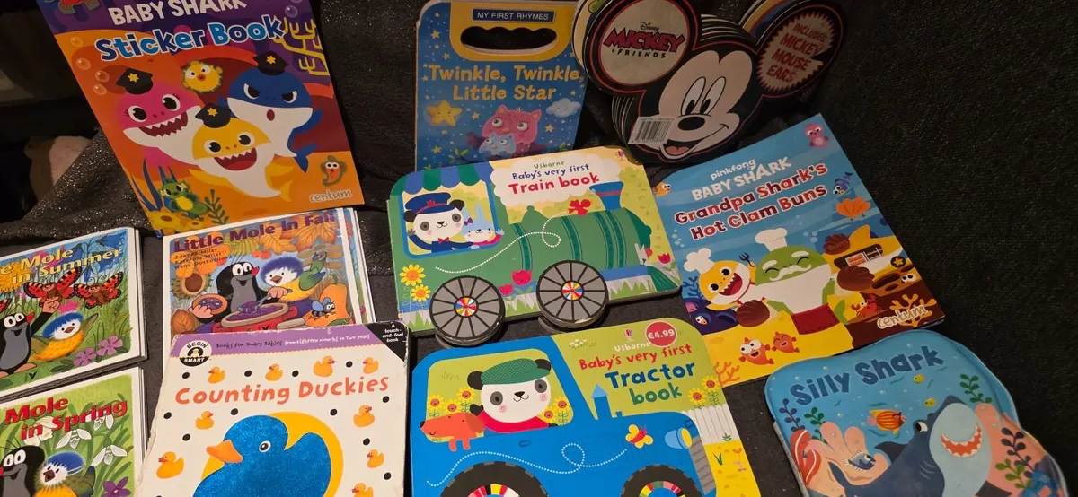 Books for toddler x 24 - Image 4