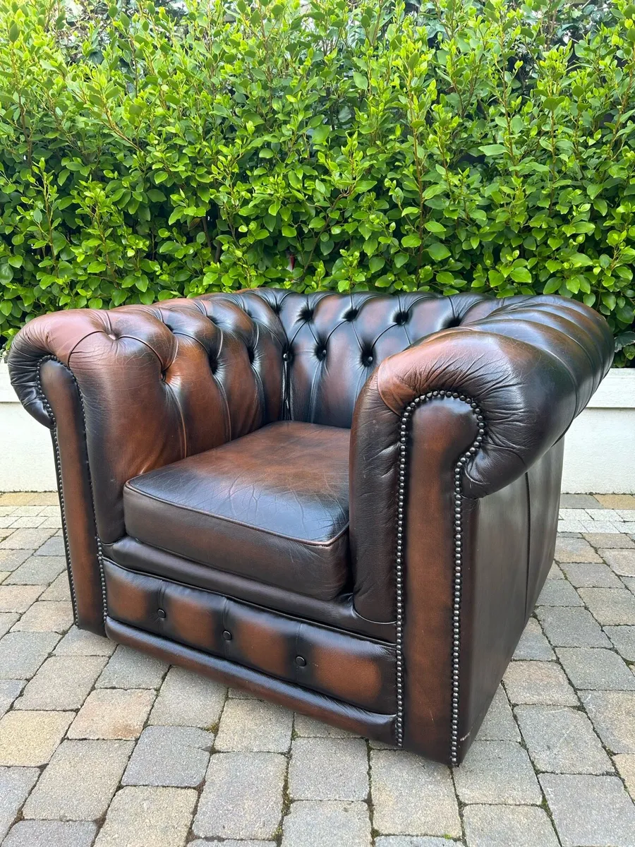 Chesterfield button back lounge chair brown - Image 4