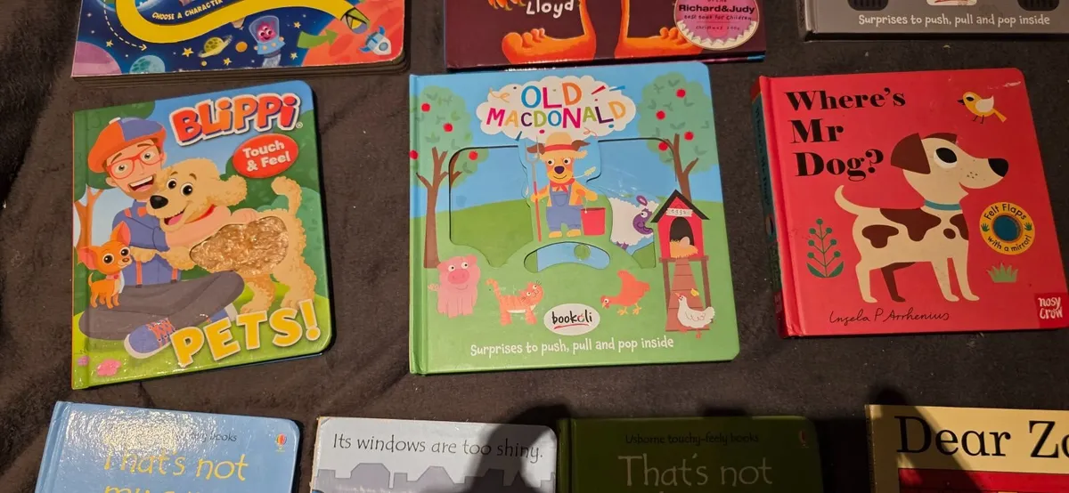 Interactive books for toddler x 10 - Image 2