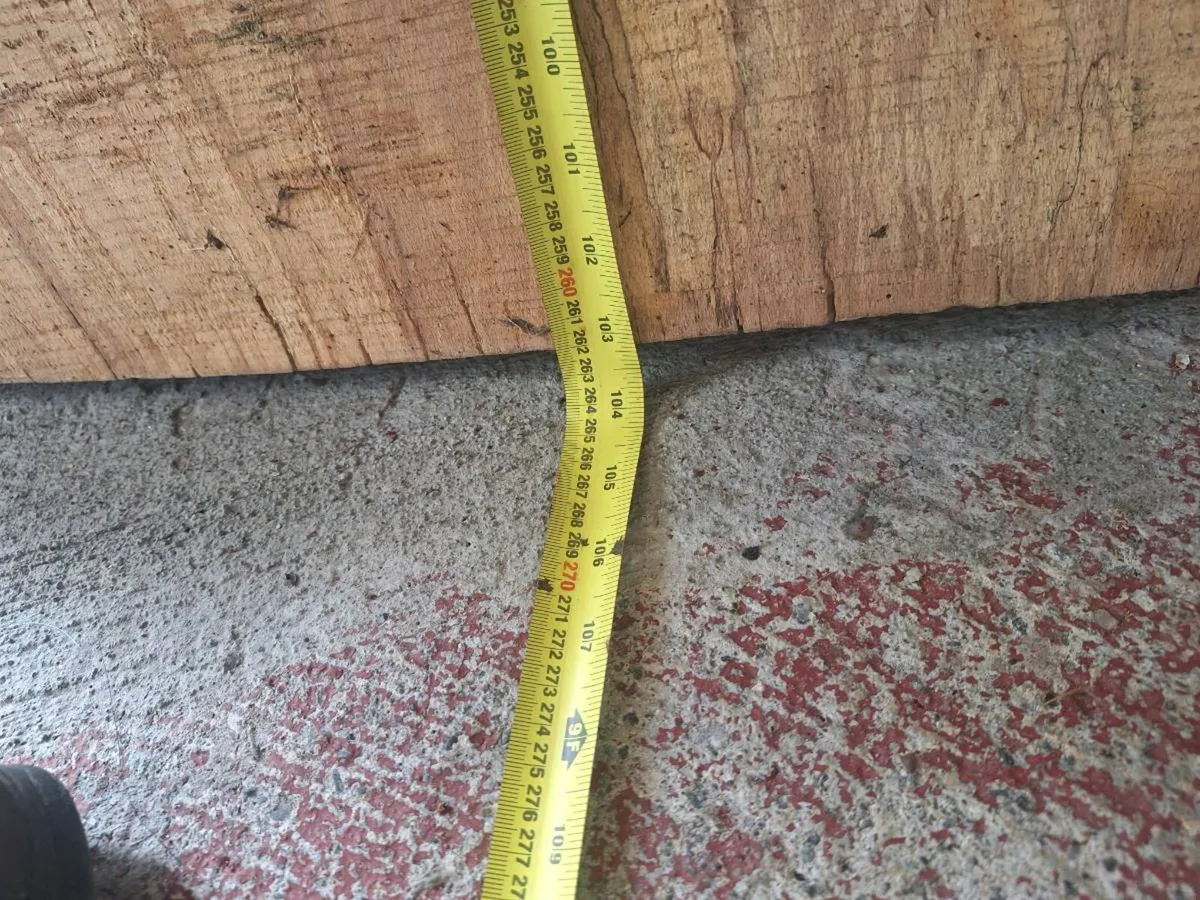 Live edge spalted beach - Image 2