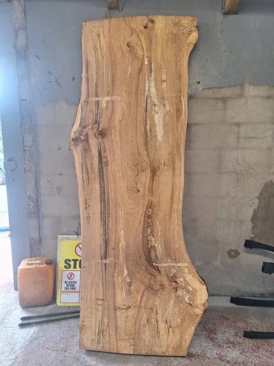 Live edge spalted beach - Image 3