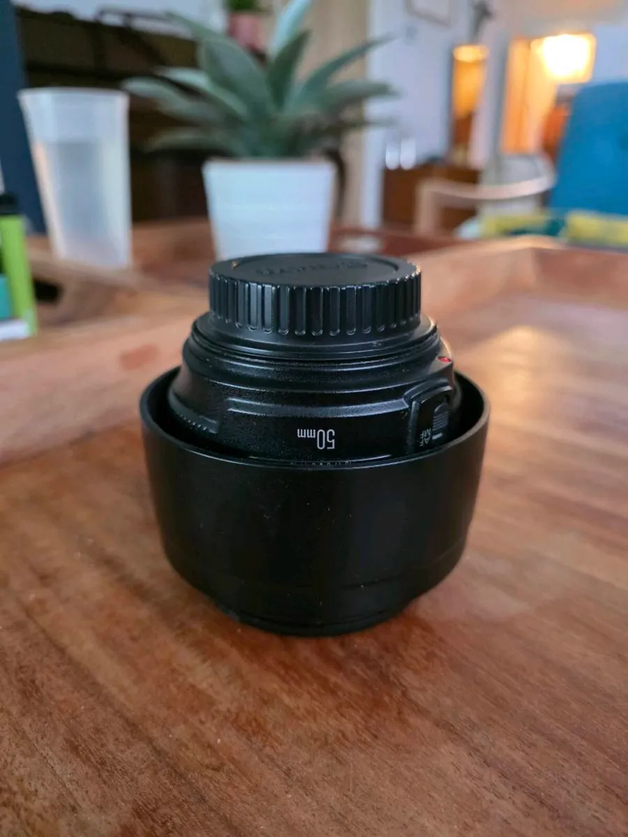 Canon EF 50mm f/1.4L USM - Image 2