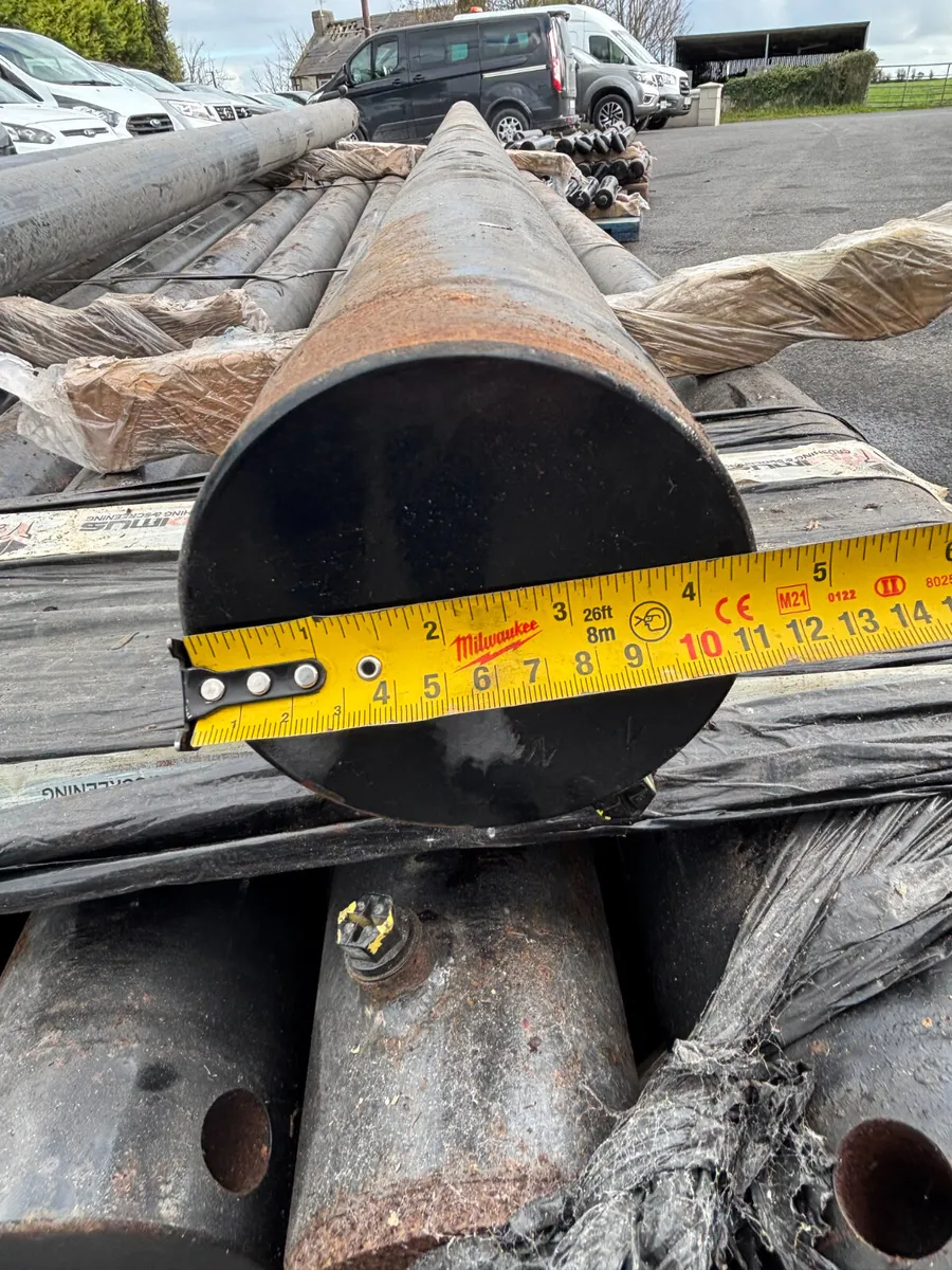 Various sized rams - Image 3