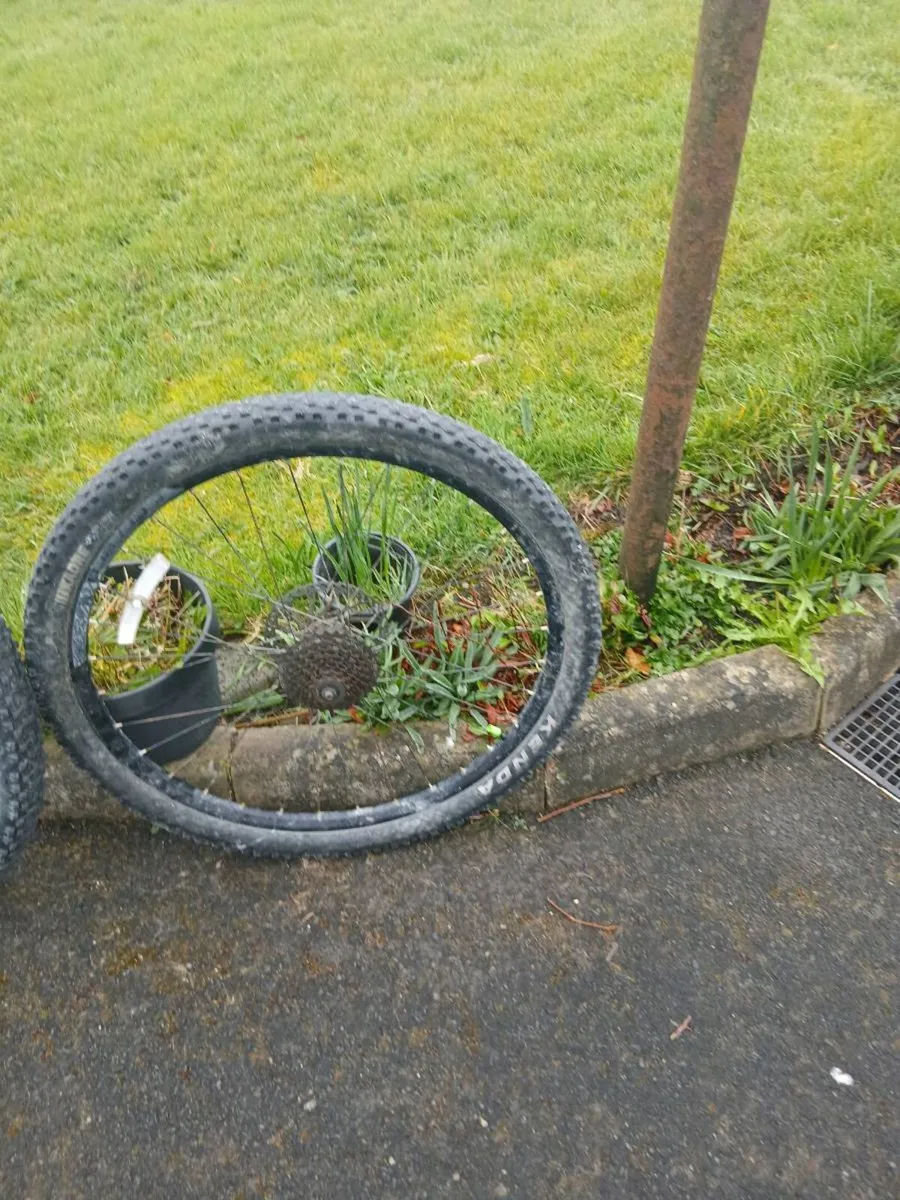Bike wheels and tyers - Image 1