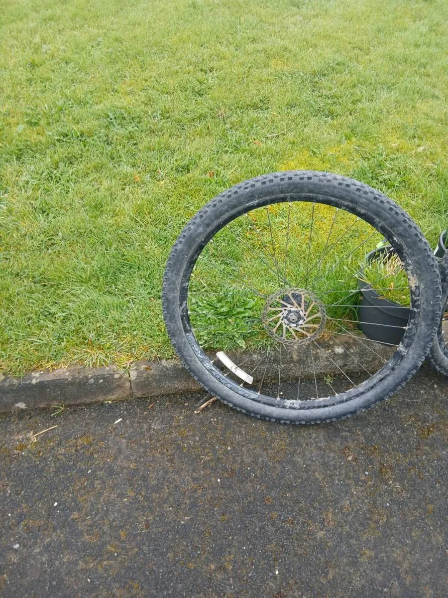Bike wheels and tyers - Image 2